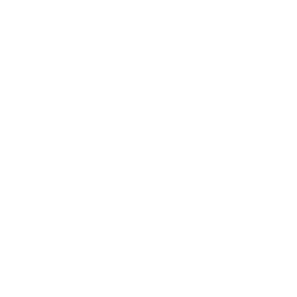 E-Violin 