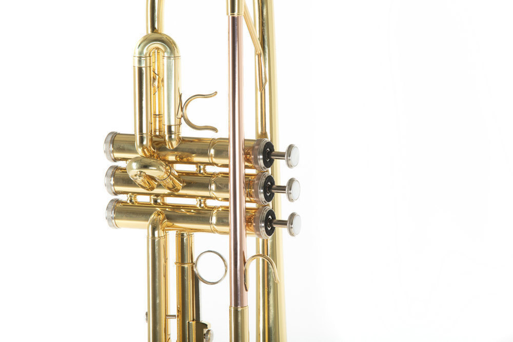 Roy Benson Bb Pocket-Trumpet MOD.PT-101K Black Lacquered Finish, incl.  Light Rectangular case : : Musical Instruments, Stage & Studio