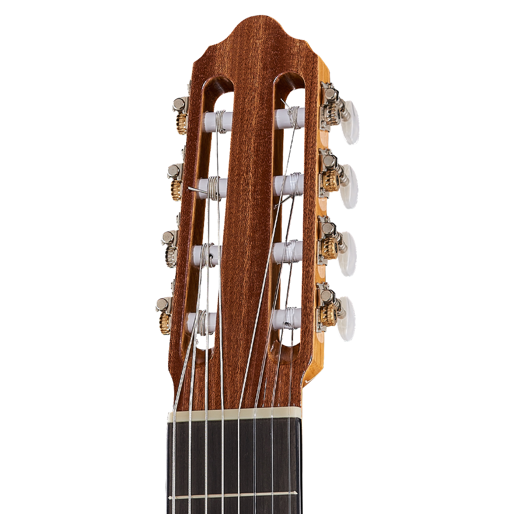 Guitare multicordes 