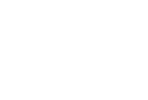 Thomastik-Infeld